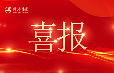 喜讯丨热烈：：：亟鹕吵莏s93线路检测中心铜铝业公司陆续八度荣登中国民营企业500强！！！